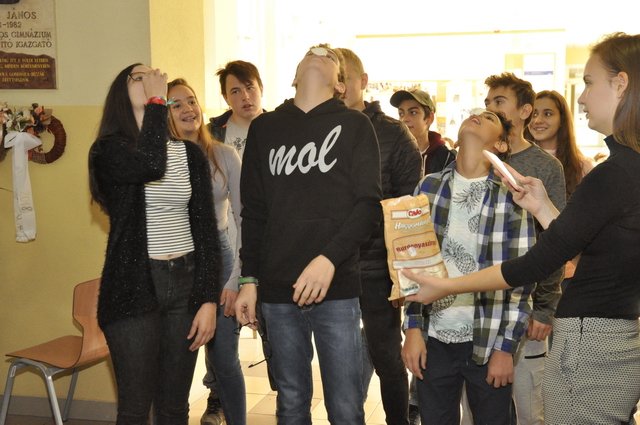 Csibetábor az Aranyban 27